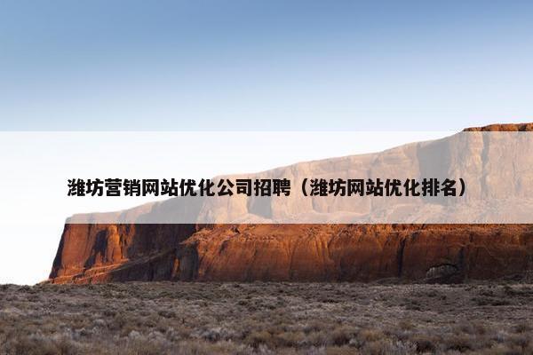 潍坊营销网站优化公司招聘（潍坊网站优化排名）