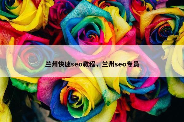 兰州快速seo教程，兰州seo专员