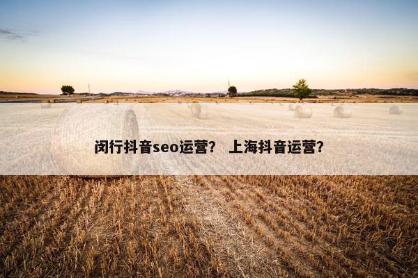 闵行抖音seo运营？ 上海抖音运营？