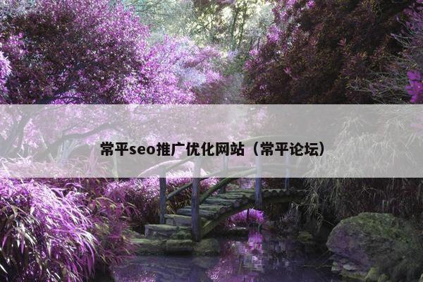常平seo推广优化网站（常平论坛）