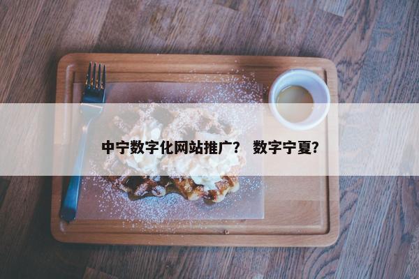 中宁数字化网站推广？ 数字宁夏？