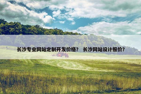 长沙专业网站定制开发价格？ 长沙网站设计报价？