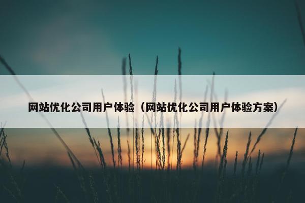 网站优化公司用户体验（网站优化公司用户体验方案）
