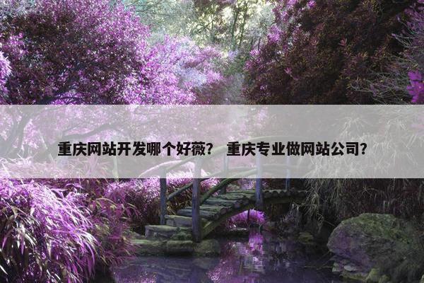 重庆网站开发哪个好薇？ 重庆专业做网站公司？