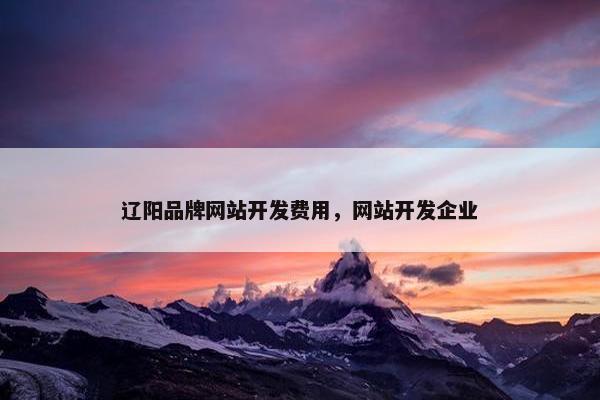 辽阳品牌网站开发费用，网站开发企业