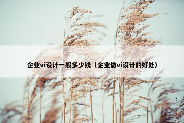 企业vi设计一般多少钱（企业做vi设计的好处）