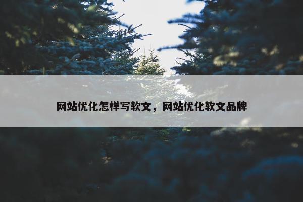 网站优化怎样写软文，网站优化软文品牌