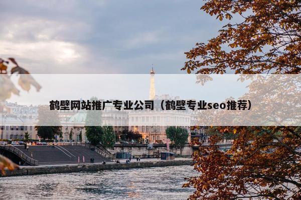 鹤壁网站推广专业公司（鹤壁专业seo推荐）