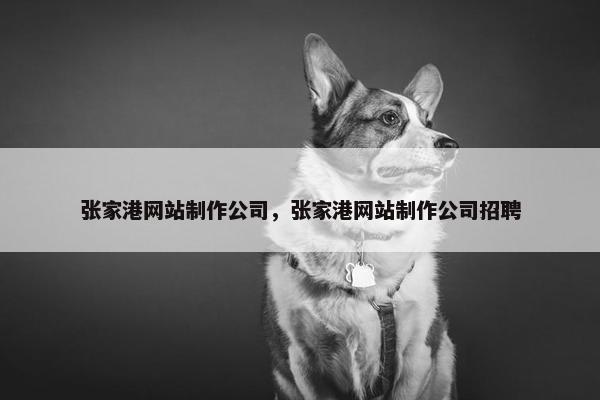 张家港网站制作公司，张家港网站制作公司招聘