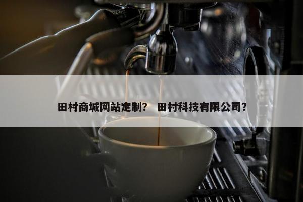 田村商城网站定制？ 田村科技有限公司？
