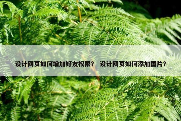 设计网页如何增加好友权限？ 设计网页如何添加图片？