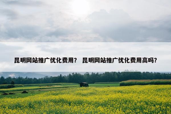 昆明网站推广优化费用？ 昆明网站推广优化费用高吗？