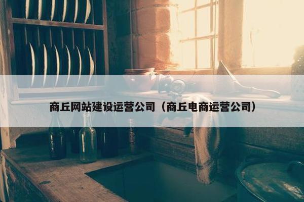 商丘网站建设运营公司（商丘电商运营公司）