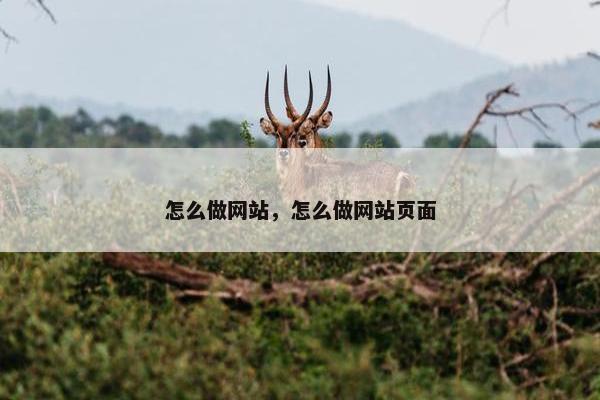 怎么做网站，怎么做网站页面