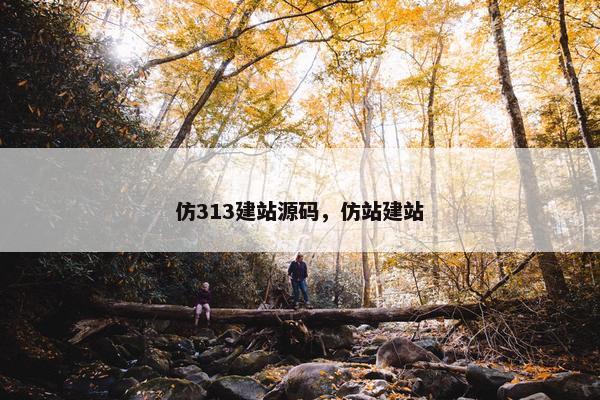 仿313建站源码，仿站建站