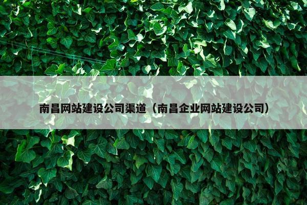 南昌网站建设公司渠道（南昌企业网站建设公司）