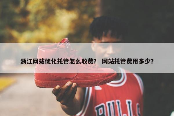 浙江网站优化托管怎么收费？ 网站托管费用多少？