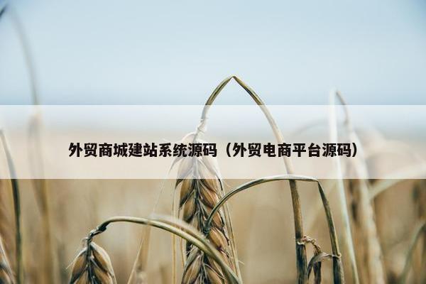 外贸商城建站系统源码（外贸电商平台源码）