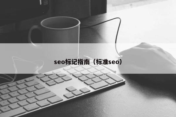 seo标记指南（标准seo）