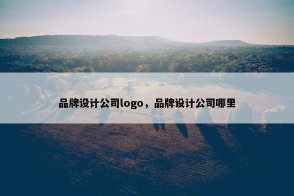 品牌设计公司logo，品牌设计公司哪里