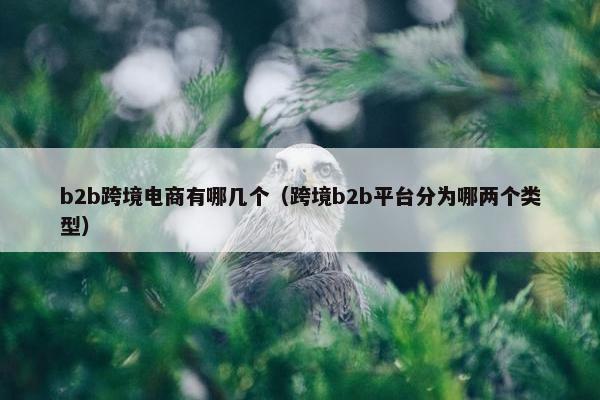b2b跨境电商有哪几个（跨境b2b平台分为哪两个类型）