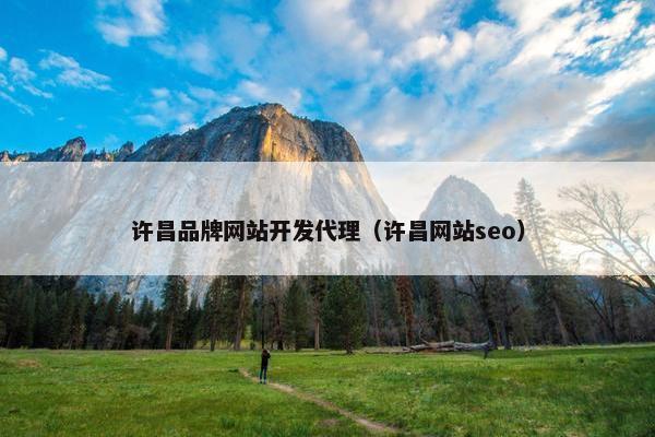 许昌品牌网站开发代理（许昌网站seo）