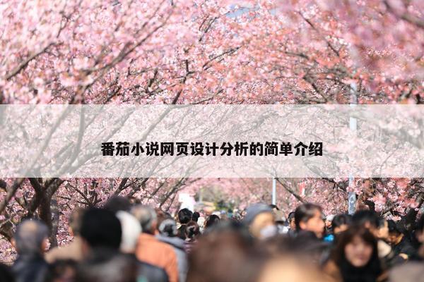番茄小说网页设计分析的简单介绍