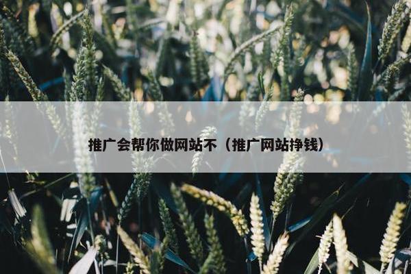 推广会帮你做网站不（推广网站挣钱）