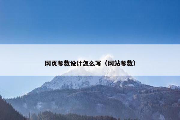 网页参数设计怎么写（网站参数）