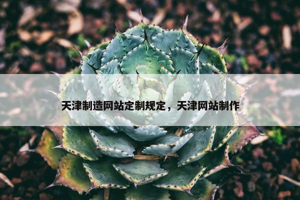 天津制造网站定制规定，天津网站制作