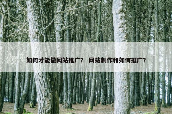 如何才能做网站推广？ 网站制作和如何推广？