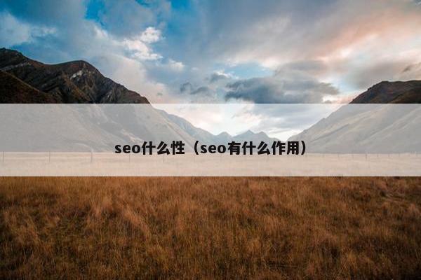 seo什么性（seo有什么作用）