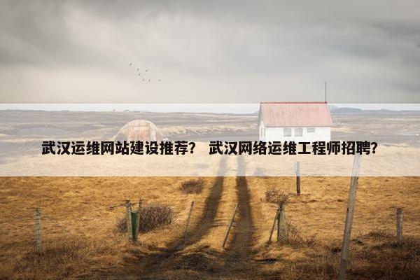 武汉运维网站建设推荐？ 武汉网络运维工程师招聘？