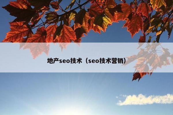 地产seo技术（seo技术营销）