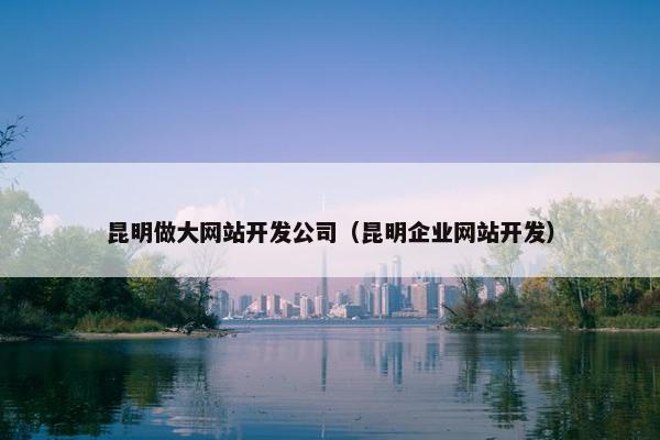 昆明做大网站开发公司（昆明企业网站开发）