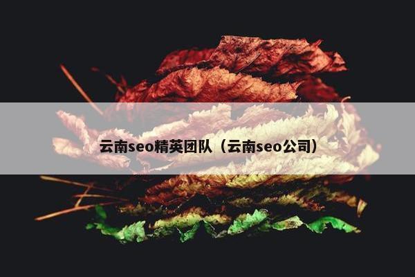 云南seo精英团队（云南seo公司）