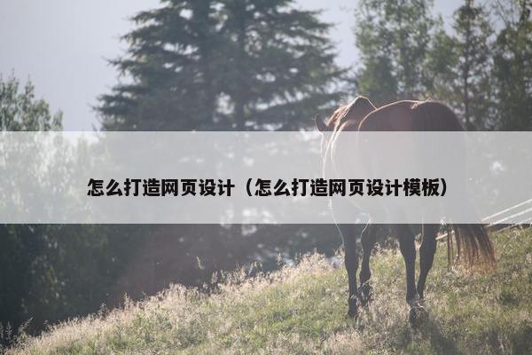 怎么打造网页设计（怎么打造网页设计模板）