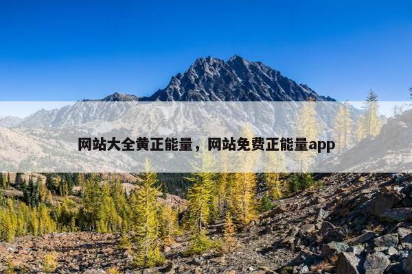 网站大全黄正能量，网站免费正能量app