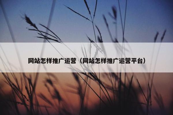 网站怎样推广运营（网站怎样推广运营平台）