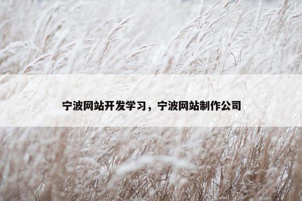 宁波网站开发学习，宁波网站制作公司