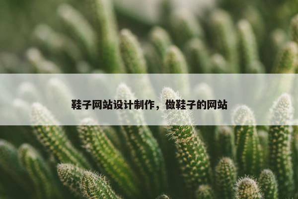 鞋子网站设计制作，做鞋子的网站