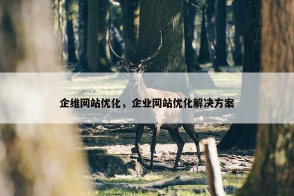 企维网站优化，企业网站优化解决方案