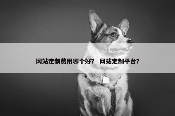 网站定制费用哪个好？ 网站定制平台？