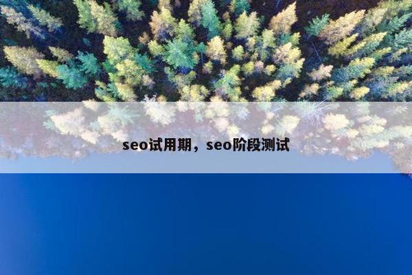 seo试用期，seo阶段测试