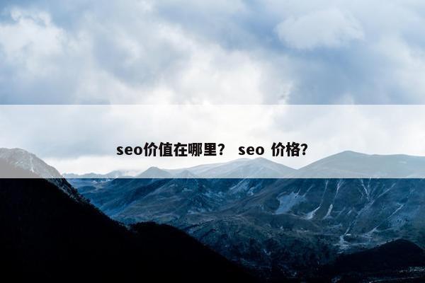 seo价值在哪里？ seo 价格？