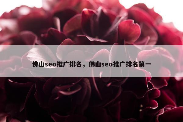 佛山seo推广排名，佛山seo推广排名第一