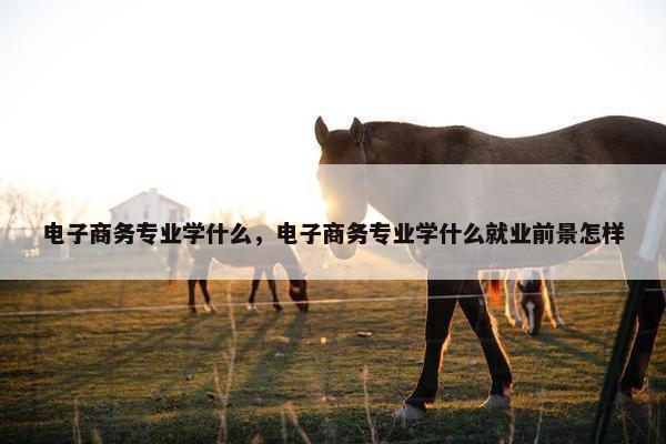 电子商务专业学什么，电子商务专业学什么就业前景怎样