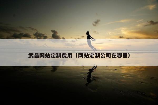 武昌网站定制费用（网站定制公司在哪里）