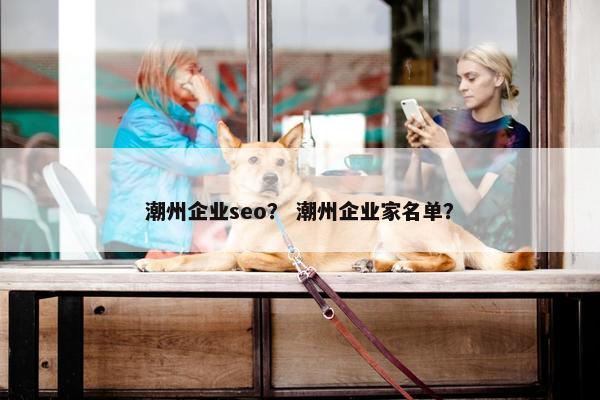 潮州企业seo？ 潮州企业家名单？