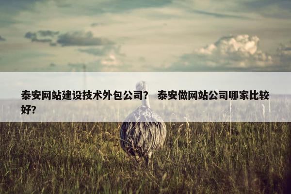 泰安网站建设技术外包公司？ 泰安做网站公司哪家比较好？